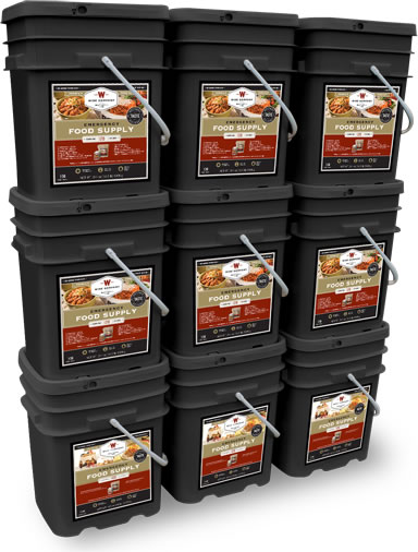 1 Year Emergency Food Storage Supply for 1 Person