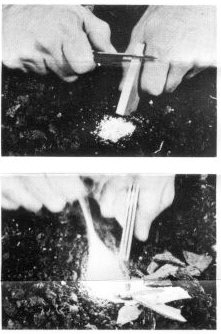 How to use a magnesium fire starter